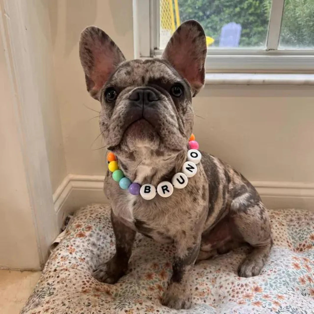Friendship Collar + Bracelet