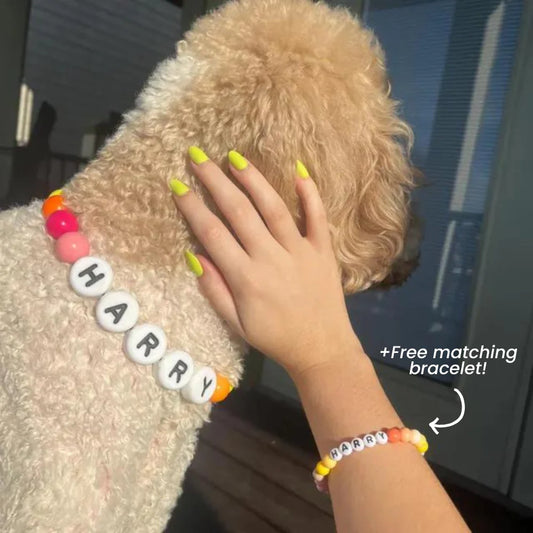 Friendship Collar