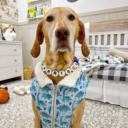 Customer photo: a dog wearing a personalized beaded Pawpaya collar (3)