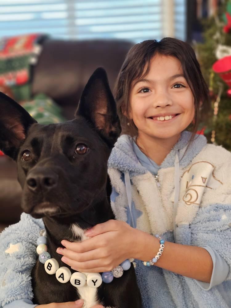 Pawpaya beaded dog collar with matching bracelet